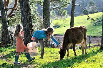 Maryland Farm Camp