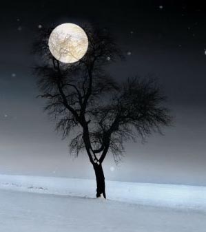 full moon snowshoeing tour